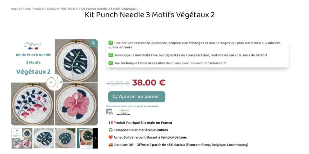 Kit Punch Needle 3