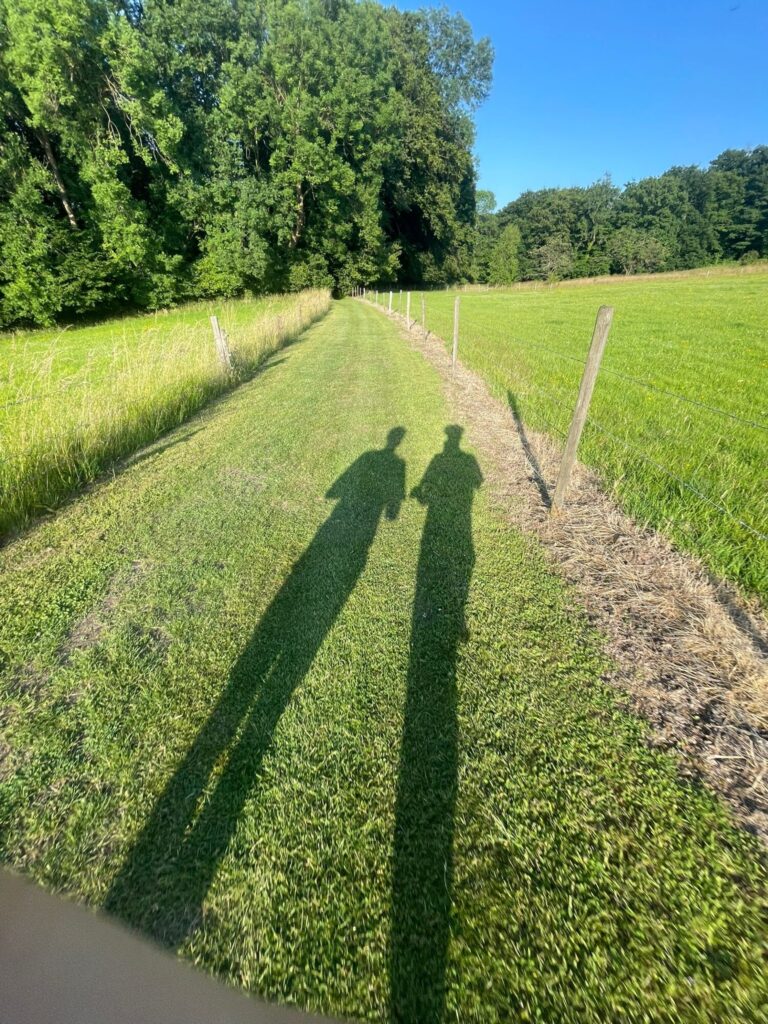 Running sur le ravel de l'Ourthe - 19/06/2025