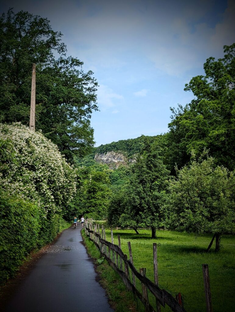 Running sur le ravel de l'Ourthe - 01/06/2025