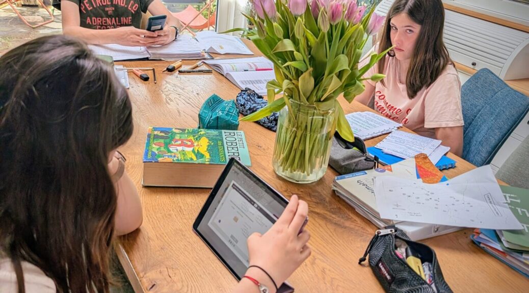 8 Bilans pour la semaine prochaine annoncés mercredi pour les filles, des gros pré-examens pour le grand... Les joies de Juin.