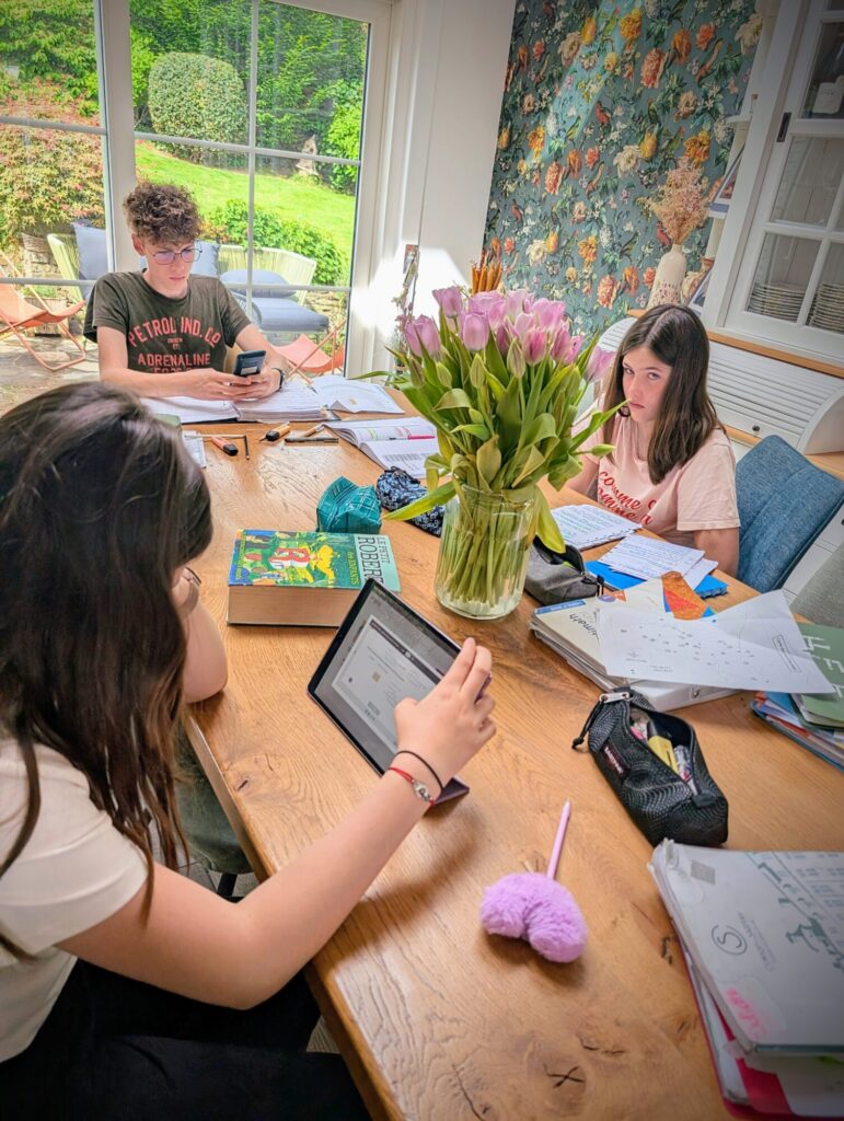 8 Bilans pour la semaine prochaine annoncés mercredi pour les filles, des gros pré-examens pour le grand... Les joies de Juin.