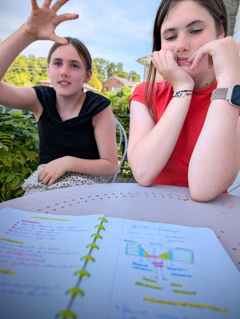 Aujourd'hui, ça revisait EDM !