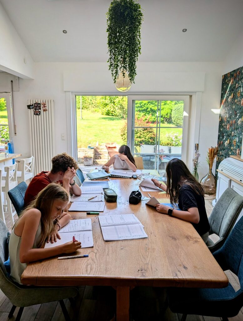 Ceci ne représente absolument pas une matinée d'étude dans cette maison ! Et non je ne suis pas capable de répondre en même temps à un problème de géométrie, un équation du premier degré et comment on nomme AlCl³