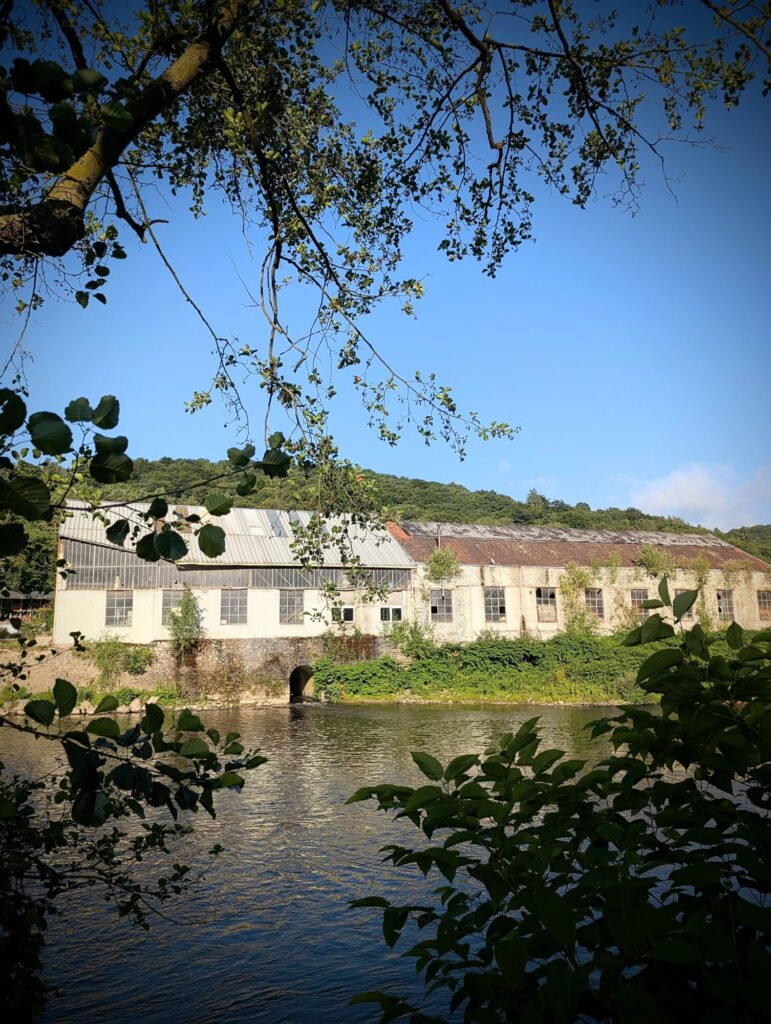 Running sur le ravel de l'Ourthe - 28/06/2025