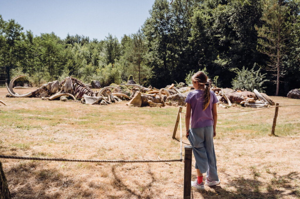 visite du Paleosite de Saint Césaire. 2025