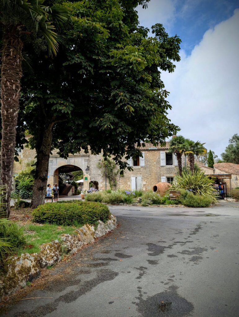 Nous voici arrivés au Séquoia Park