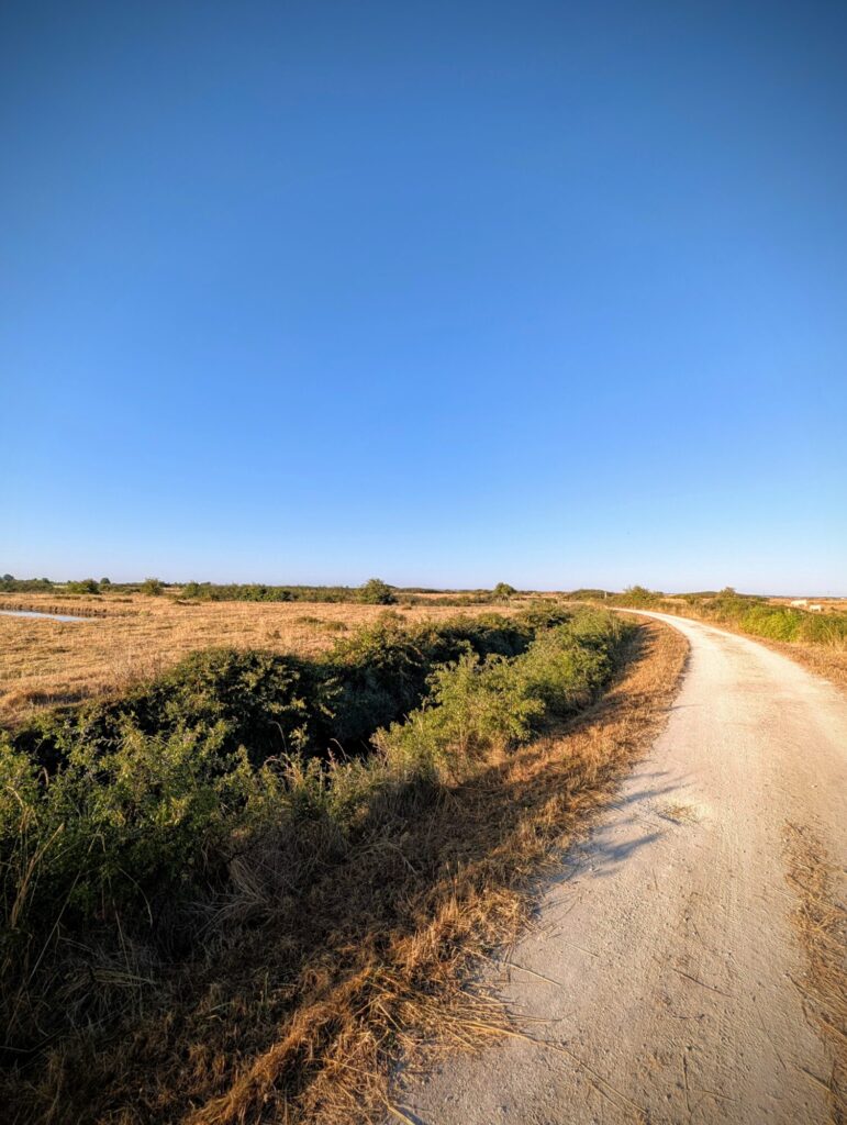 Running - En vacances en sortant que Séquoia Parc
