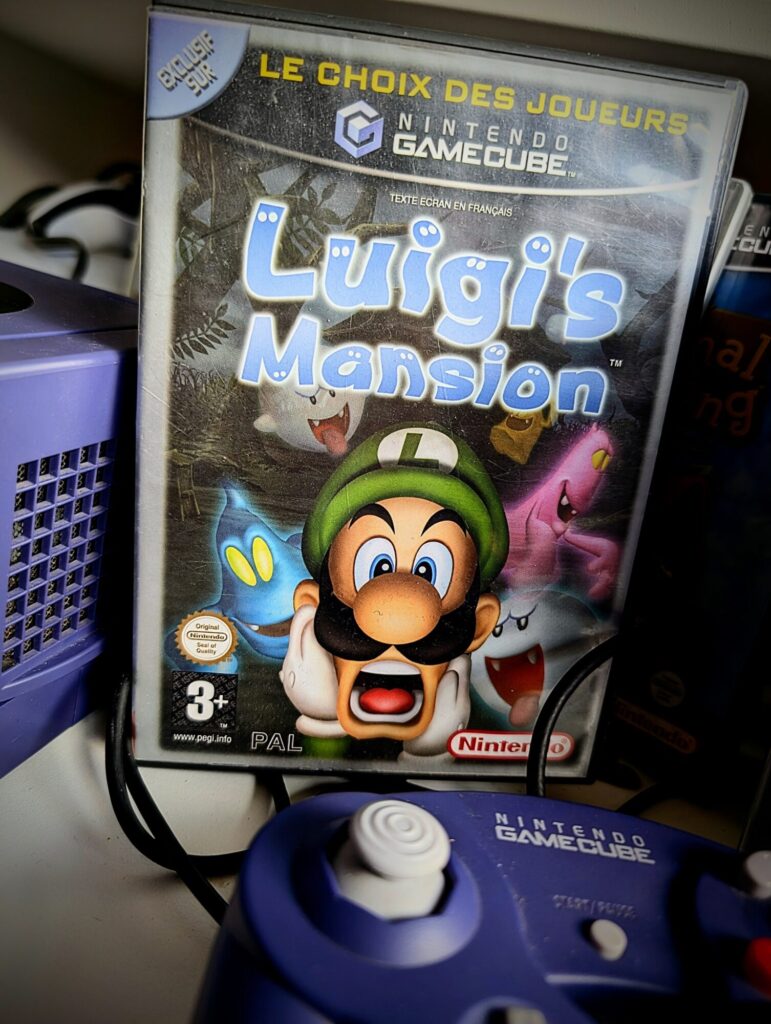 Il est temps de découvrir Luigi's Mansion que j'ai enfin trouvé sur Vinted