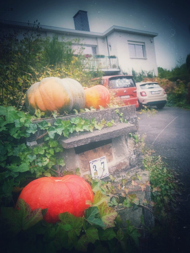 La maison en mode citrouille