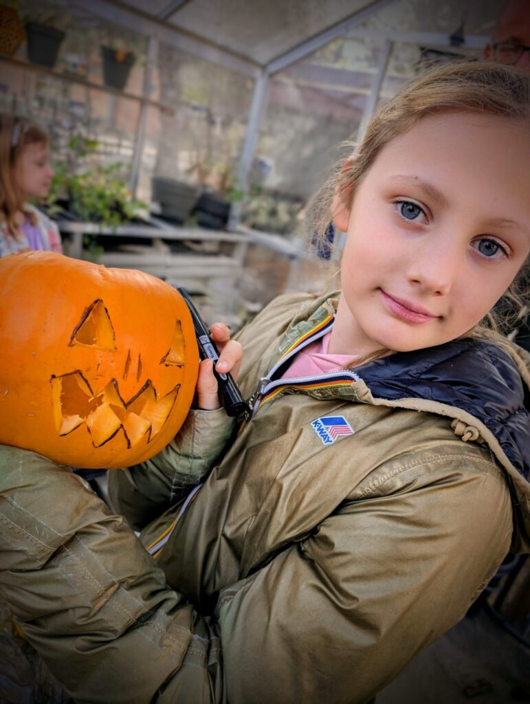 Midweek à Port Zélande