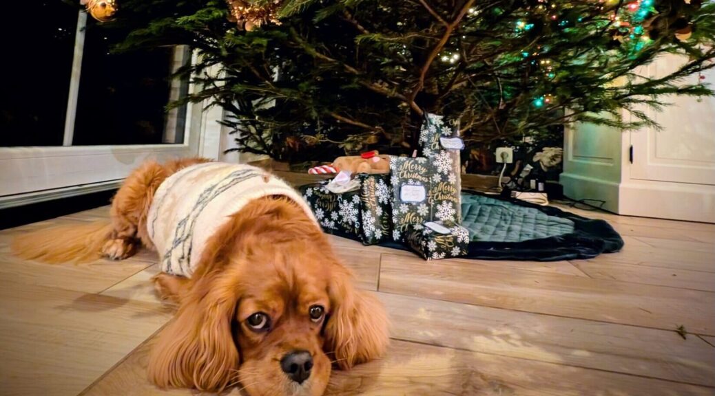 après Noël, ce n'est plus Noël !