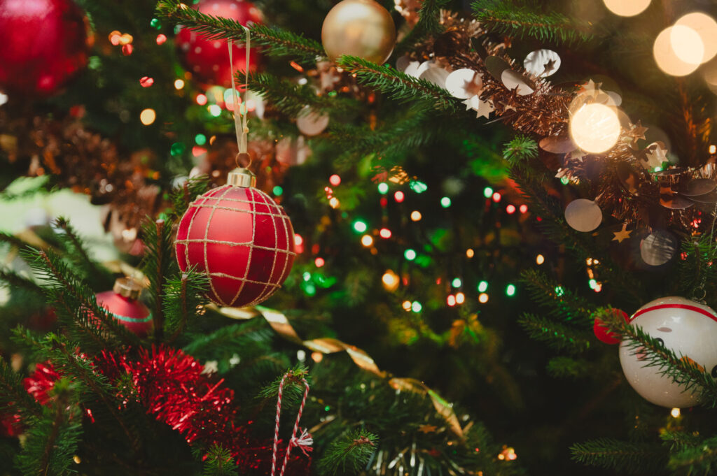 On prépare le sapin en famille - 2025