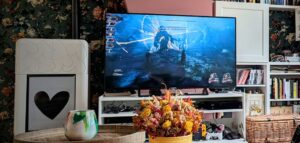 Ma snorkys joue à Clair Obscure