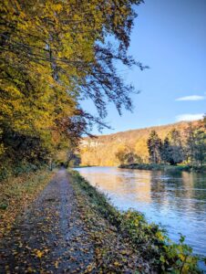 Mes sorties de Novembre au bord de l'Ourthe