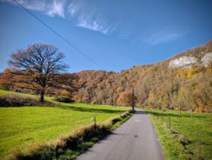 Mes sorties de Novembre au bord de l'Ourthe