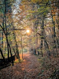 Mes sorties de Novembre au bord de l'Ourthe