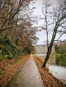 Mes sorties de Novembre au bord de l'Ourthe