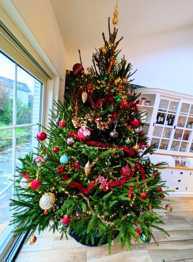 Le sapin version 2025