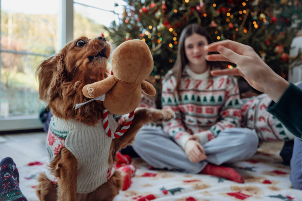 Notre Noël en famille 2025 - ©PetiteSnorkys