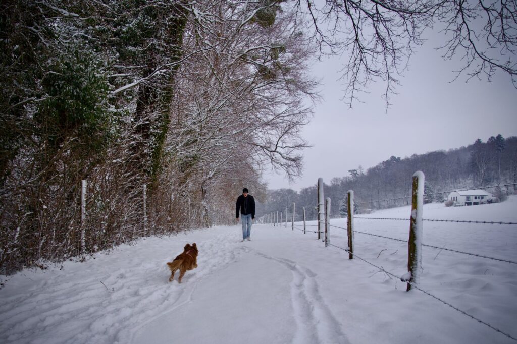 En promenade sur les hauteurs d'Esneux dans le blanc de la neige. ©LMDC, 2026