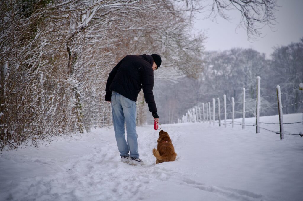 En promenade sur les hauteurs d'Esneux dans le blanc de la neige. ©LMDC, 2026