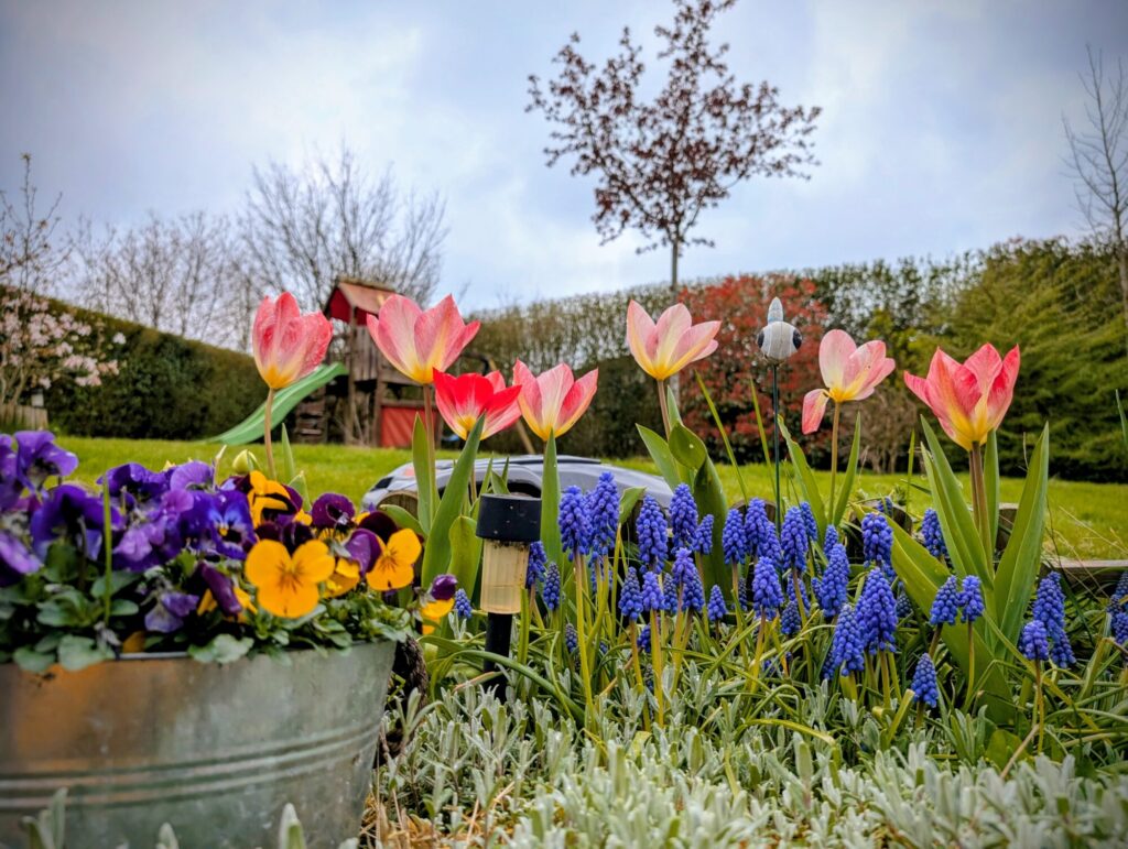 Ce weekend au jardin