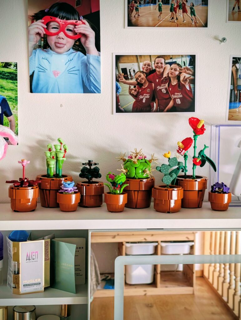 Elles sont jolies ses petites décos "botaniques" de la série LEGO que les filles ont reçues.