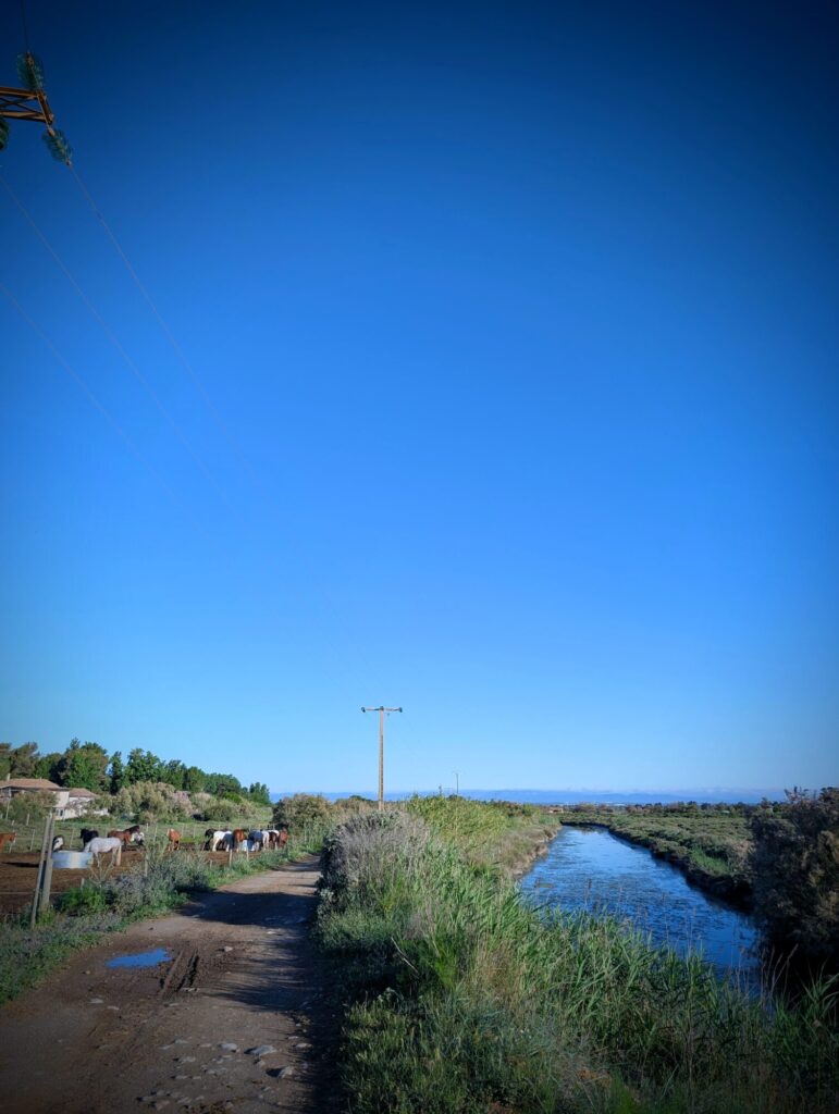 Un petit chemin pour aller courir près du camping Aloha de Serignan