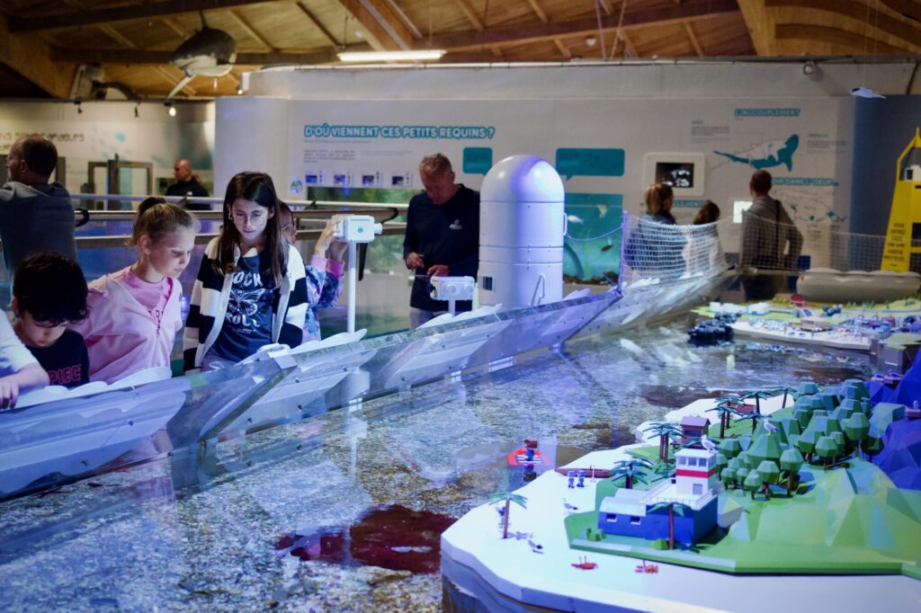 Visite du Seaquarium du Grau du Roi - ©LMDC, 2026