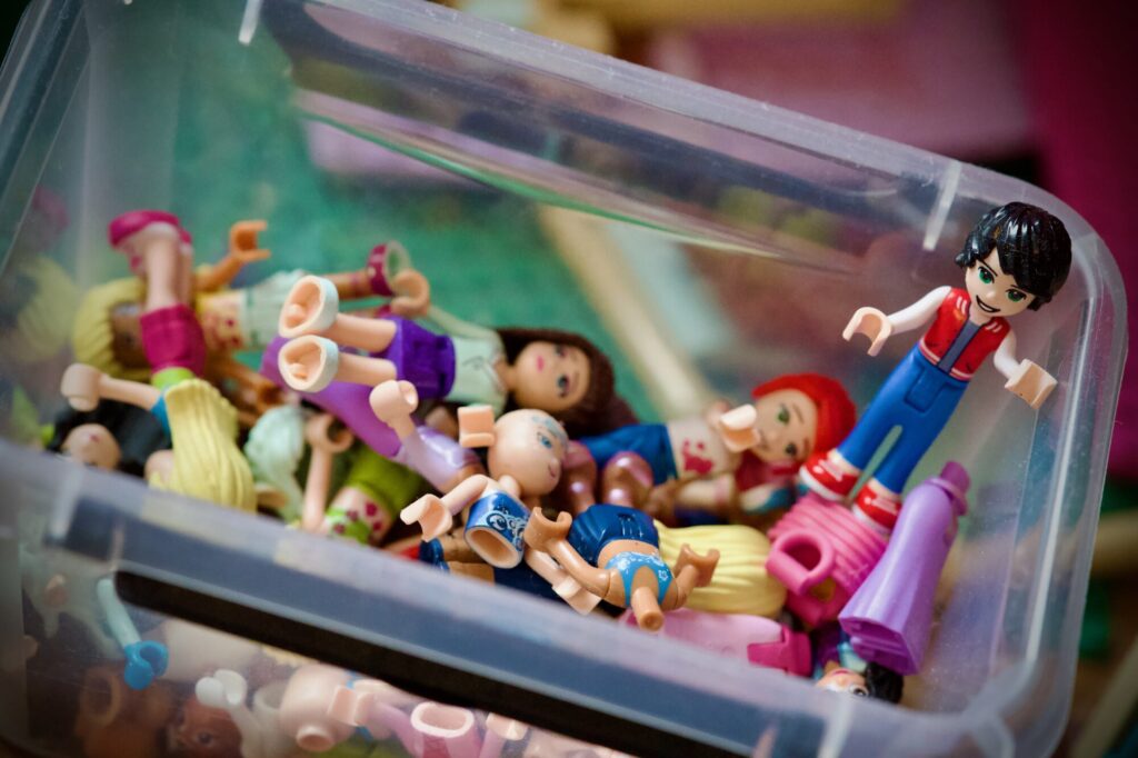 LEGO Friends - Le désordre de Rose - LMDC, 2026