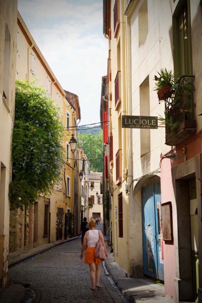 le marché de Céret - ©LMDC, 2026