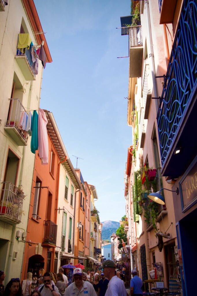 Vacances dans les Pyrénées orientales - Collioure vivante et pressée par son marché matinale - ©LMDC, 2026