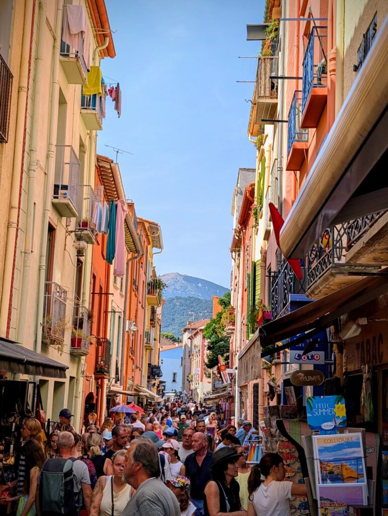 Vacances dans les Pyrénées orientales - Collioure vivante et pressée par son marché matinale - ©LMDC, 2026