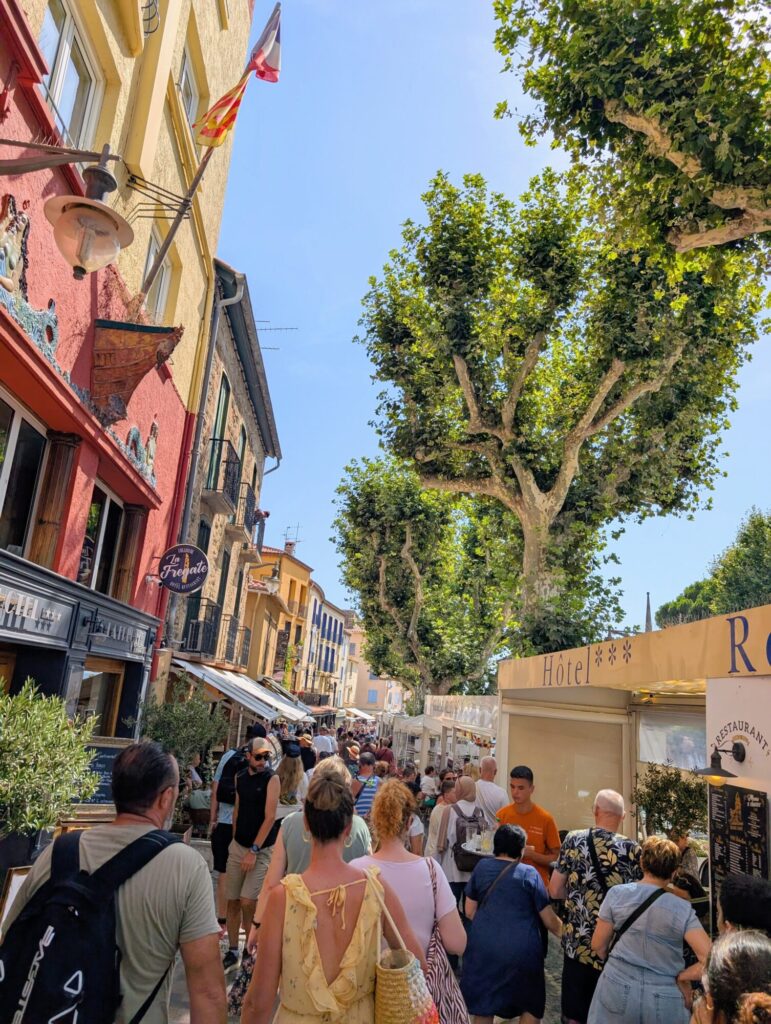 Vacances dans les Pyrénées orientales - Collioure vivante et pressée par son marché matinale - ©LMDC, 2026
