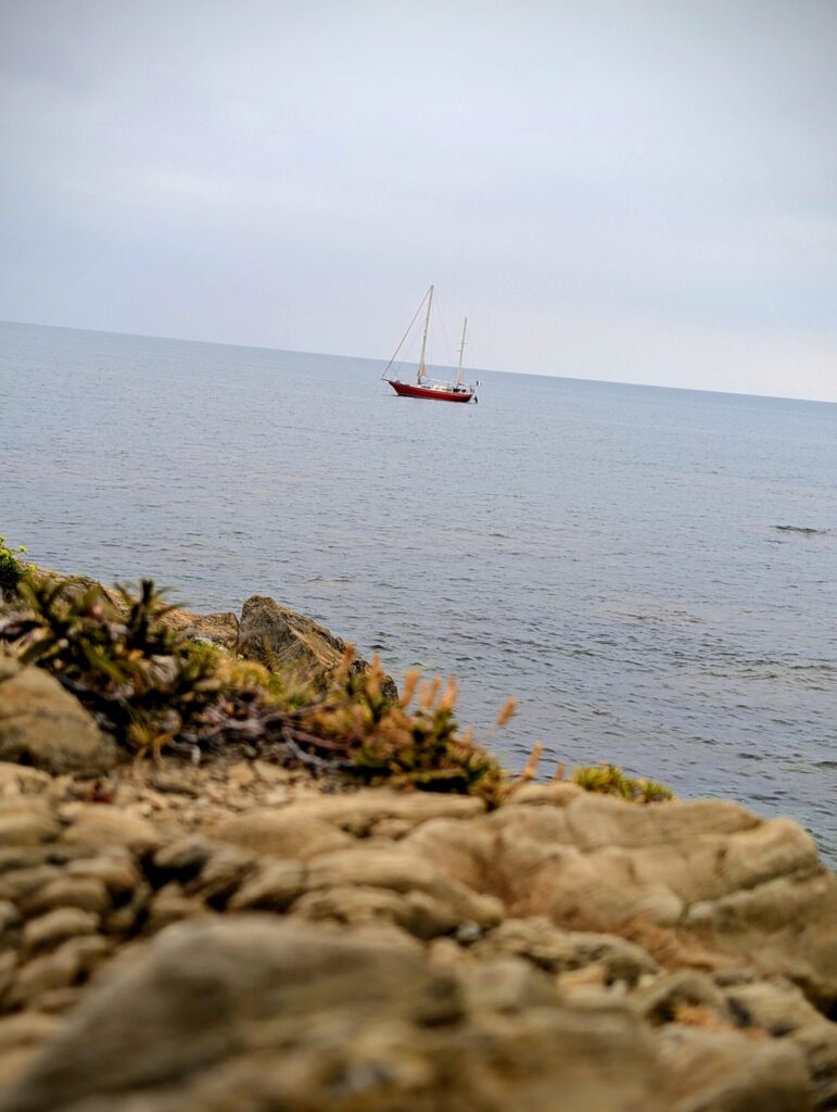 Vacances dans les Pyrénées orientales - A l'aventure dans le Racou - Argelès-Sur-Mer - ©LMDC, 2026