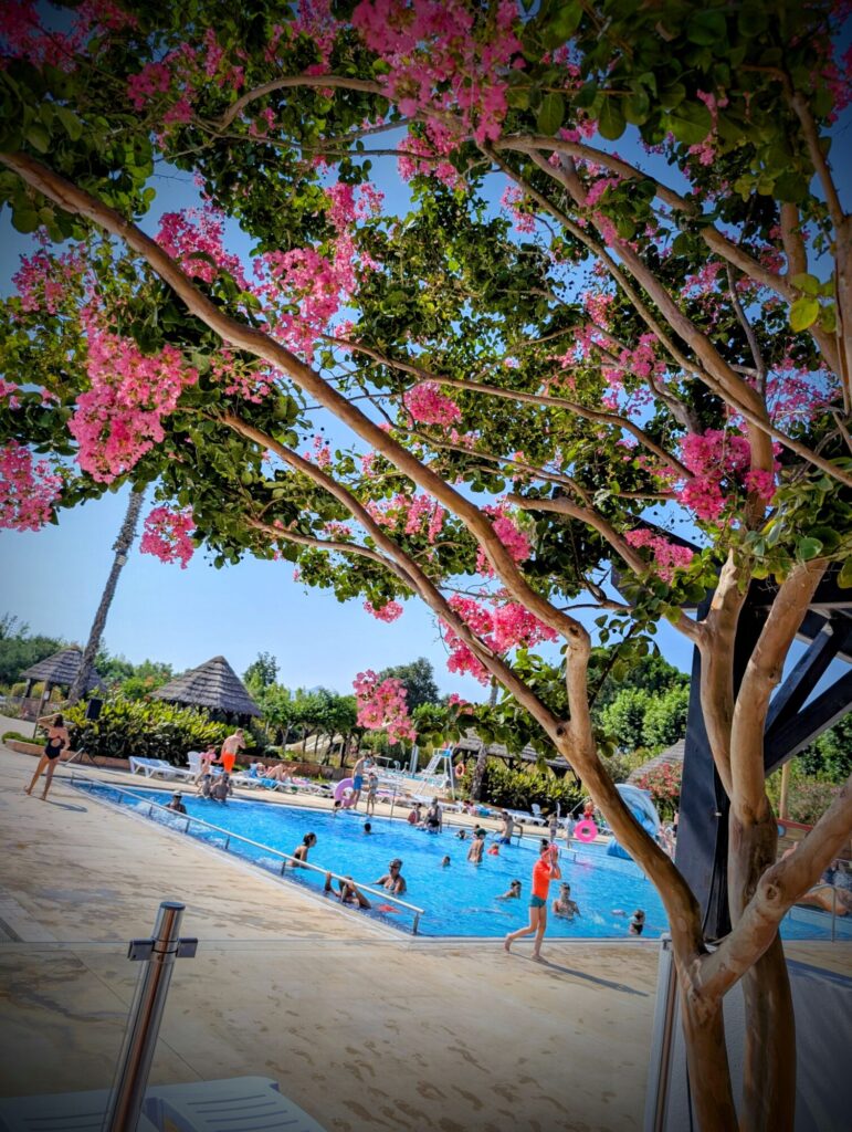 Vacances dans les Pyrénées orientales - Camping Le Dauphin - Argelès-sur-Mer - ©LMDC, 2026